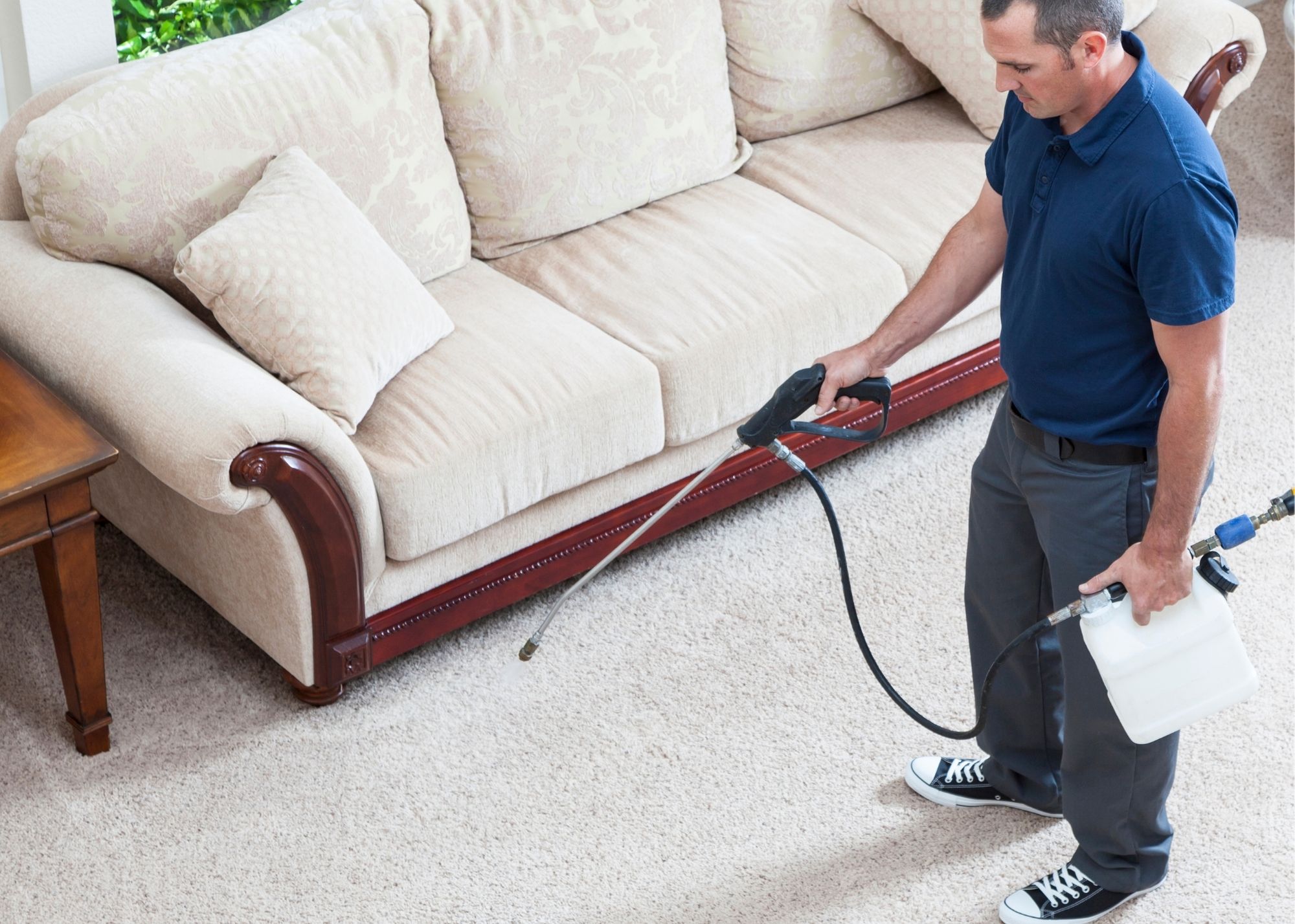 Cary Carpet Cleaning Pros