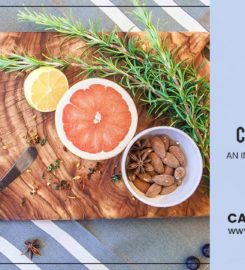 Greenvalley Pty Ltd – Camphor Board