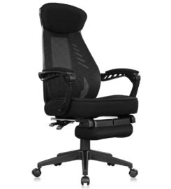 Ergonomic Chairs