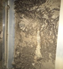 Furnace & Duct Cleaning | Dun-Rite Vac | Saskatchewan