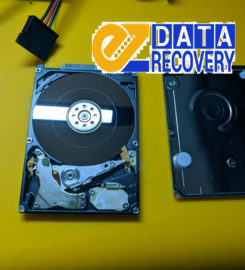 EZ Data Recovery