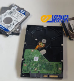 EZ Data Recovery