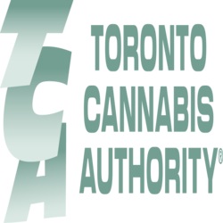 Toronto Cannabis Authority