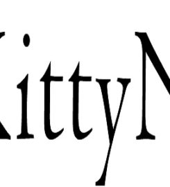 KittyNook Cat Store