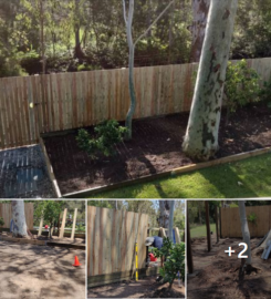 Landscaping in Lota- Fencing (Rogers Little Loaders)