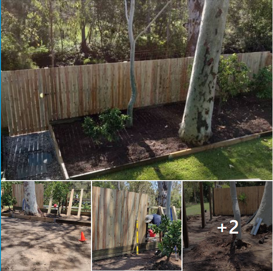 Landscaping in Lota- Fencing (Rogers Little Loaders)