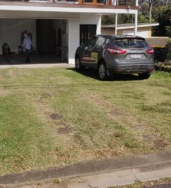 Landscaping in Lota – Paving (Rogers Little Loaders)