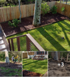 Landscaping in Lots – Turfing (Rogers Little Loaders)