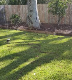 Landscaping in Lots – Turfing (Rogers Little Loaders)