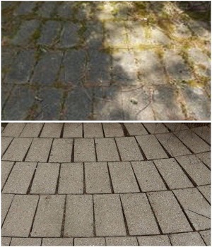 LESC Power Washing Pros