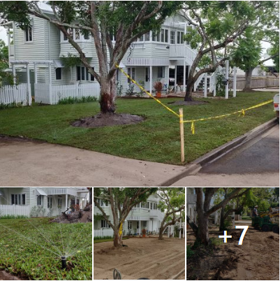 Massive 550m2 irrigation and returf. (Front yard)