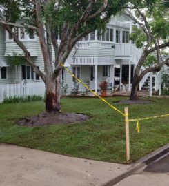 Massive 550m2 irrigation and returf. (Front yard)