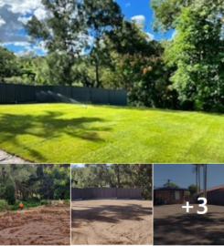 Massive yard raise into an oasis -Turf (Rogers Little Loaders)