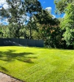Massive yard raise into an oasis -Turf (Rogers Little Loaders)