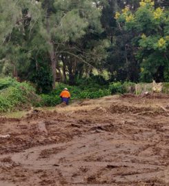 Massive yard raise into an oasis -Turf (Rogers Little Loaders)