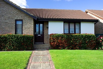 ProTurf Artificial Grass Solution
