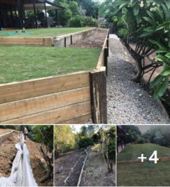Retaining wall replacement and turf