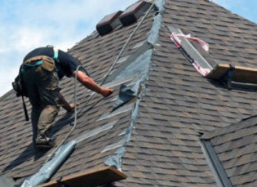Barney Roofing
