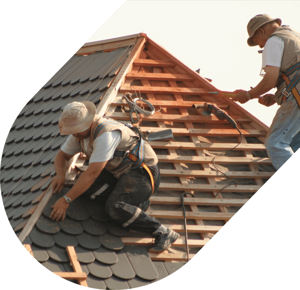 Dante Roofing