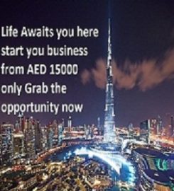 BDS Businessmen Services
