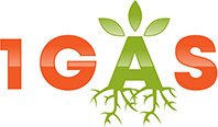 1 Gas