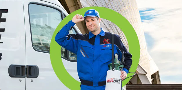 Pest Control Bondi – Bug Free Pest Control