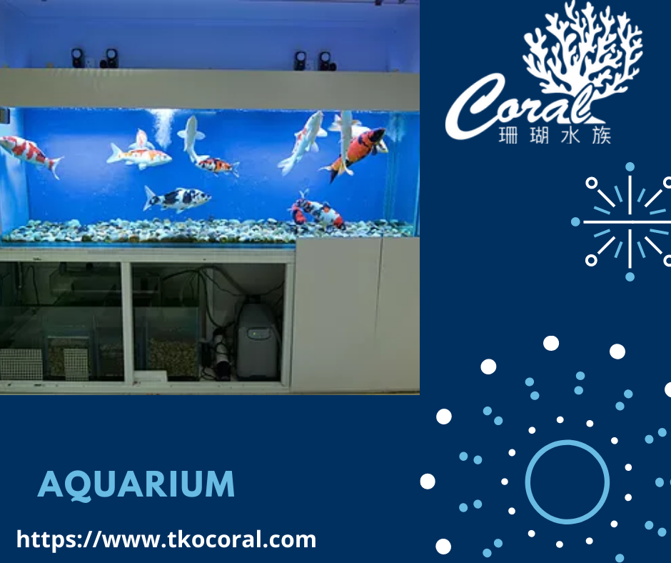 TK Coral