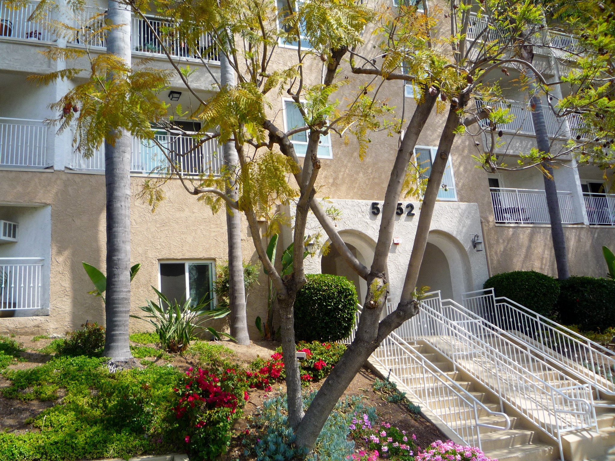 Utopia Property Management Chula Vista