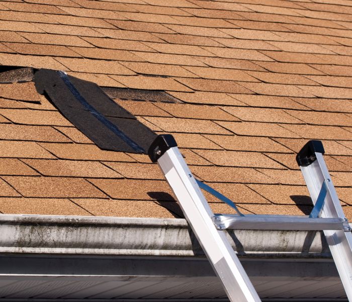 The Dallas Roofers