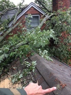 True Star Tree Service Fontana