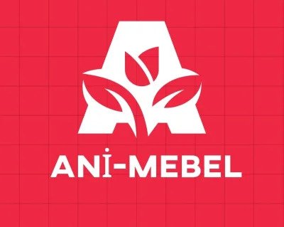 Ani Mebel Россия
