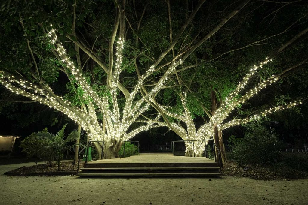 Decorative Lighting Company