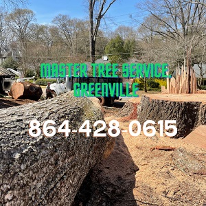 Master Tree Service, Greenville