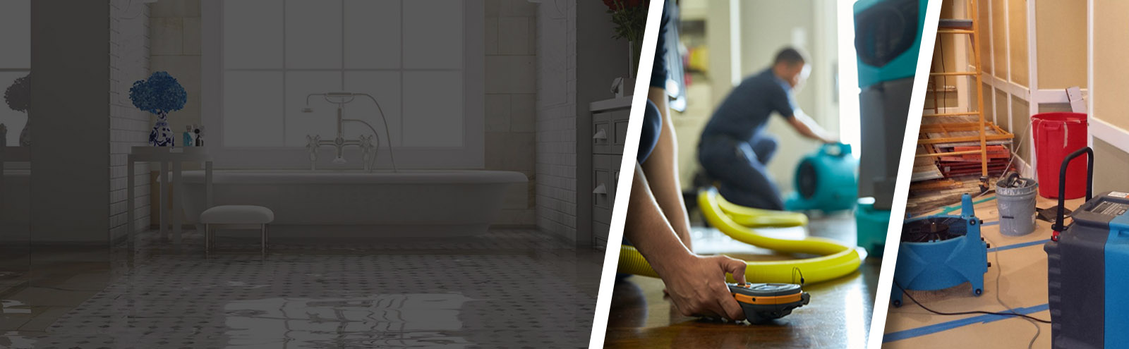Bay Area Restoration Solutions