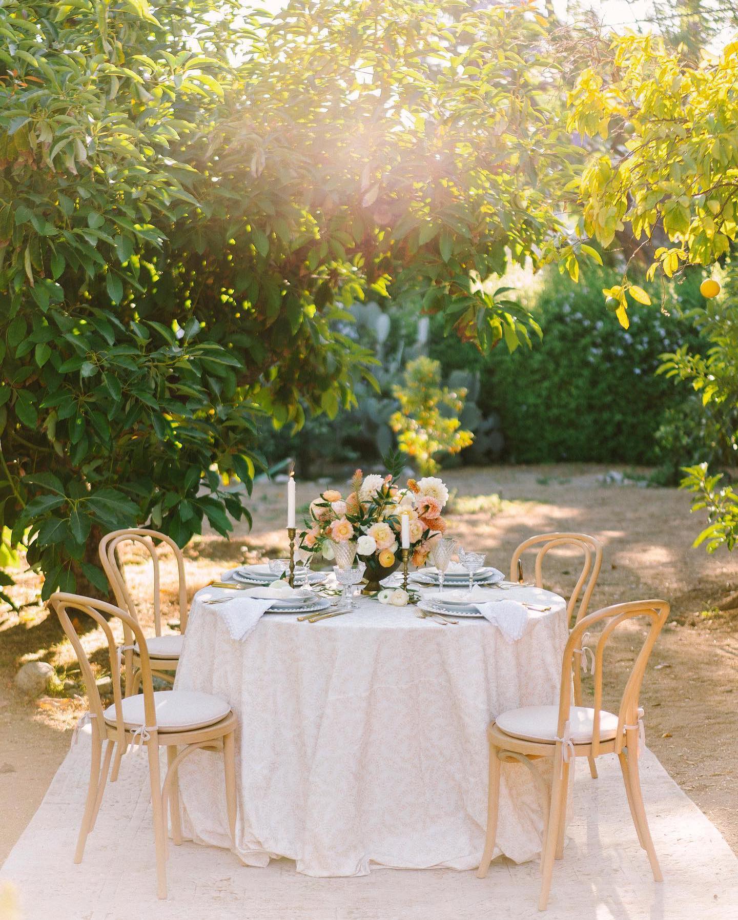 La Tavola Fine Linen Rental