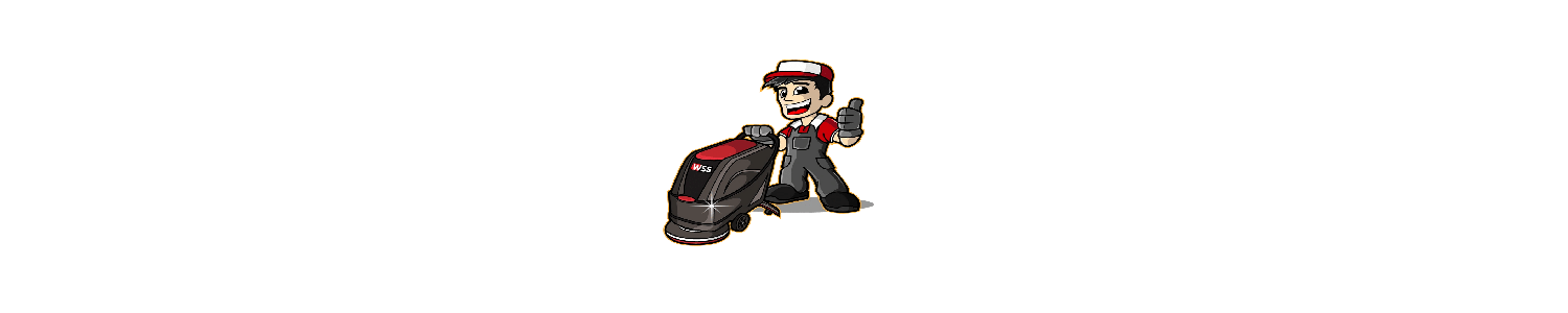 Wisconsin Scrub & Sweep