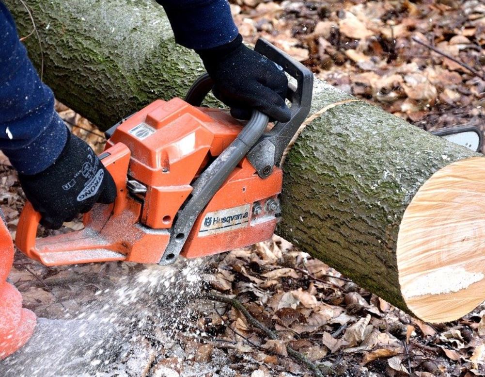 Glendale Tree Co