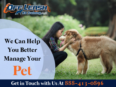 OFFLEASH K9TRAINING