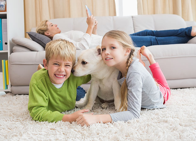 Best Carpet & Rug Cleaners
