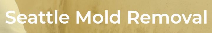 Seattle Mold Removal