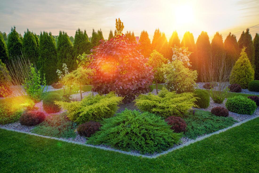 Wylie Lawn & Landscape
