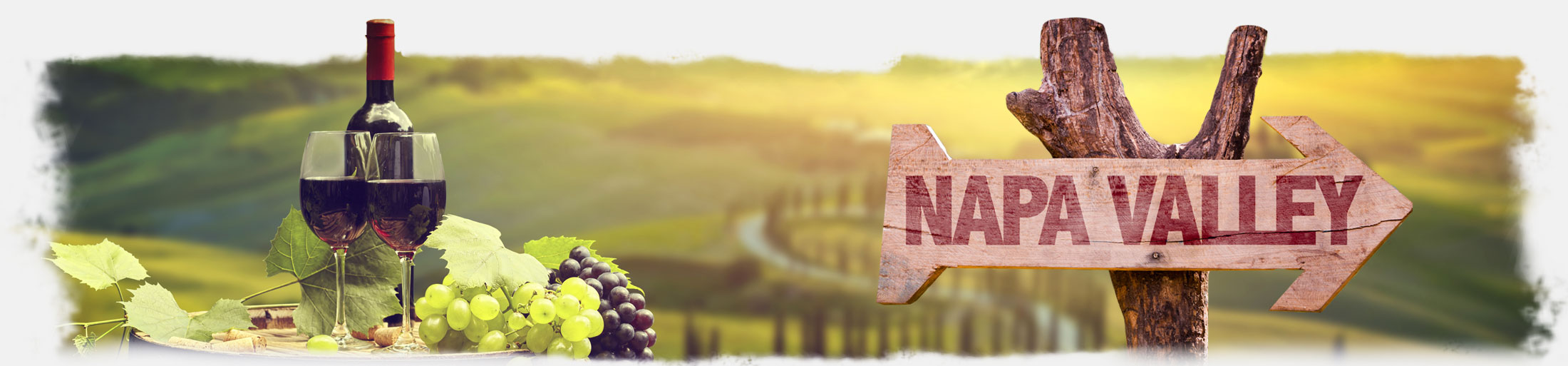 WeWine Napa
