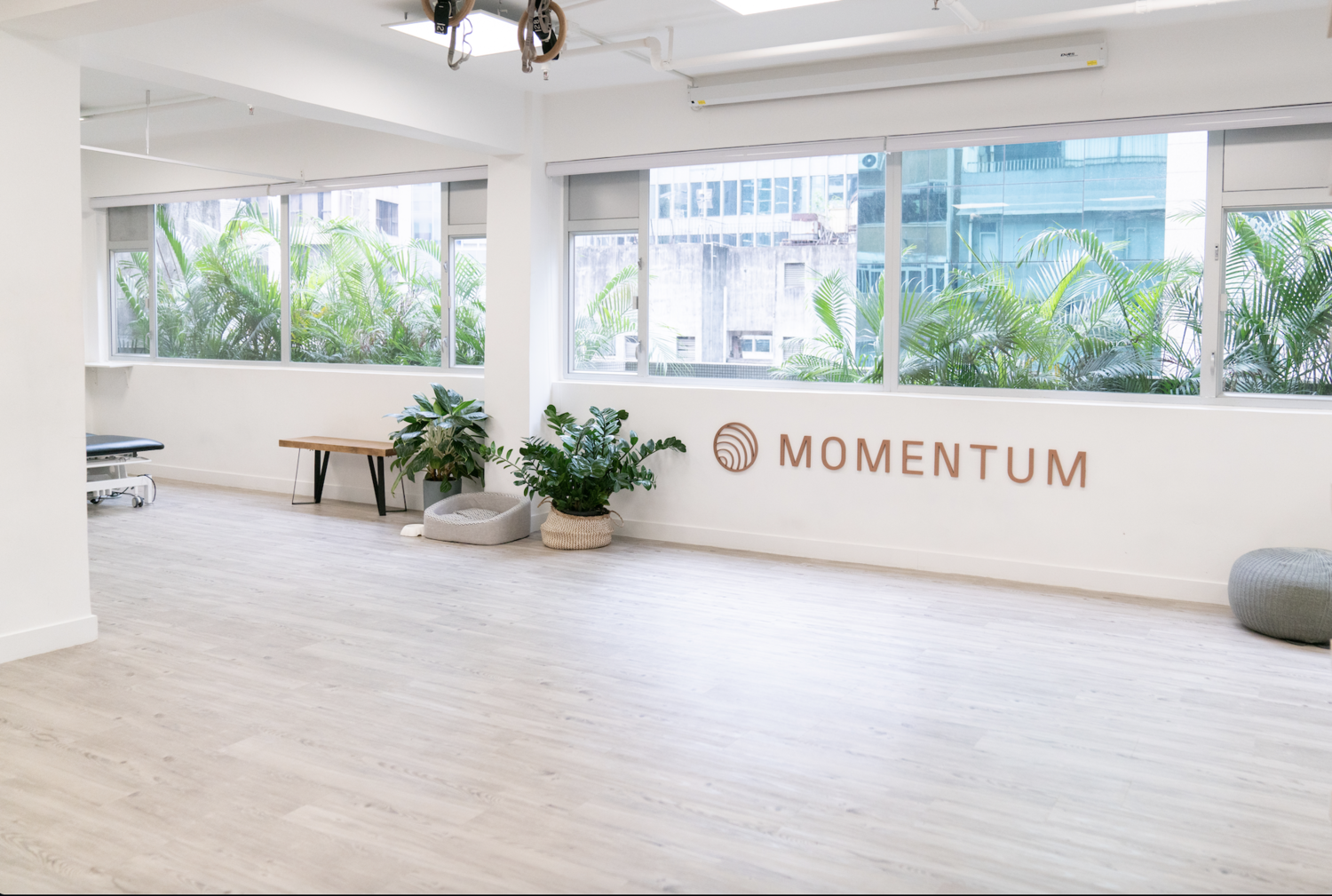 Momentum