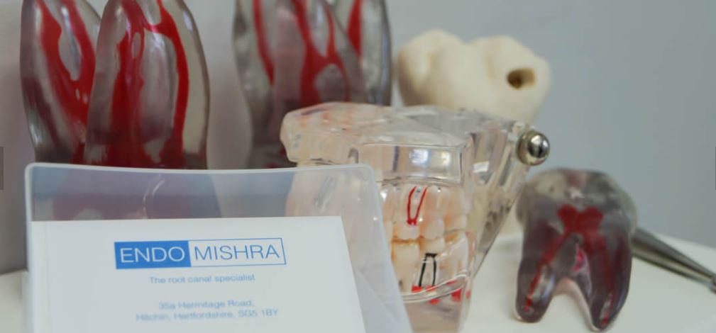 EndoMishra Ltd