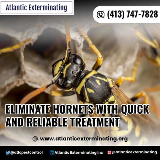 Atlantic Exterminating Inc
