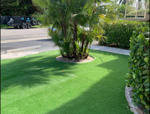 Jupiter Artificial Grass