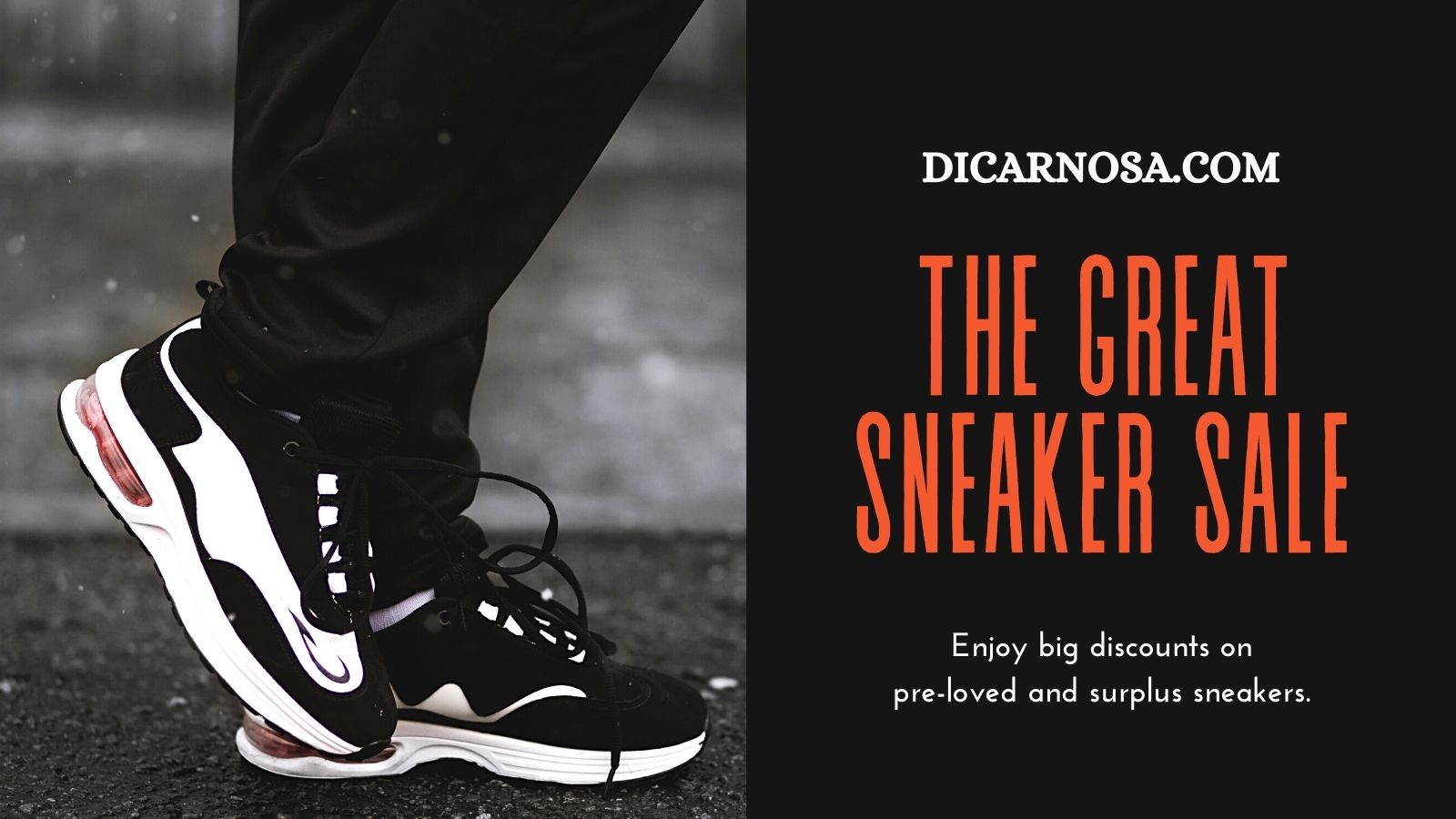 dicarnosa.com