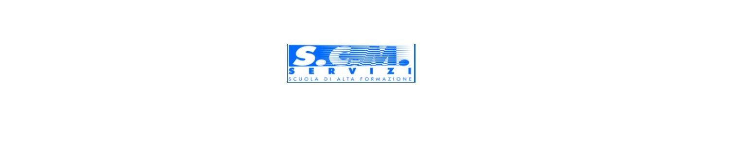 S.C.M. SERVIZI SRL