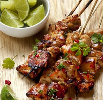 Sydney Kebab Manufacturers & Distributors