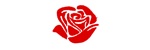 The Rose Collection